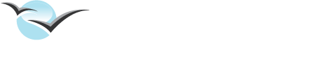 Light logo