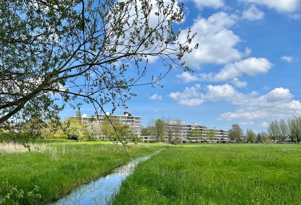 IMG_3367 Uitzicht 2