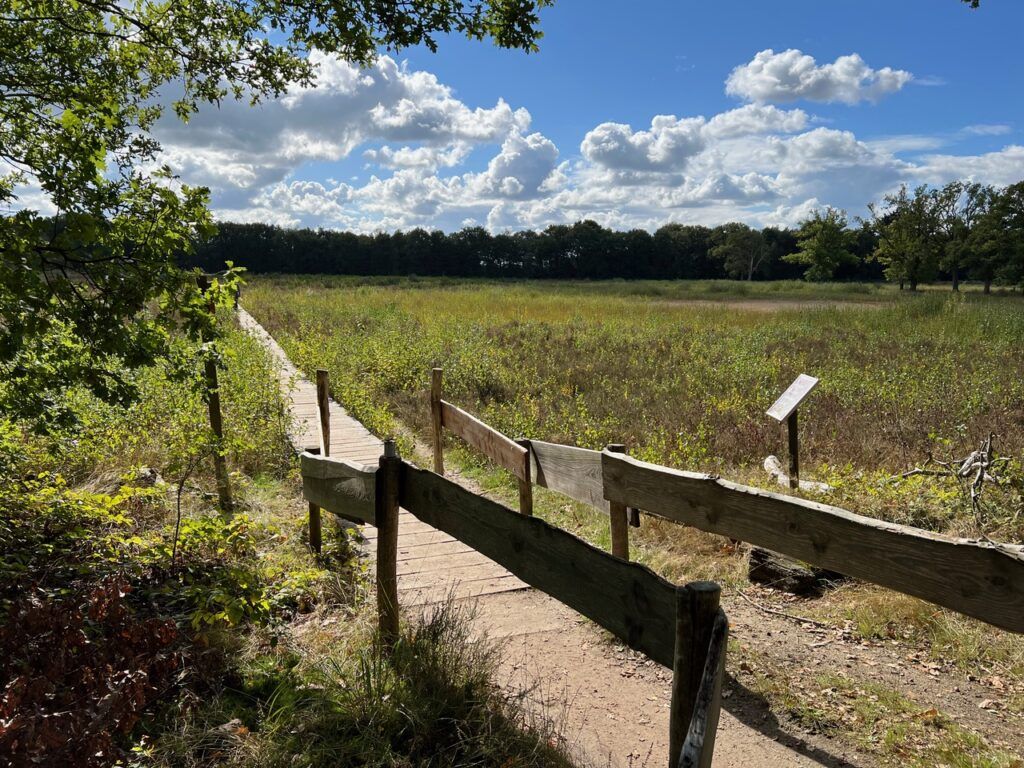 wandelen