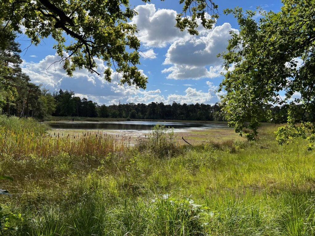 wandelen 2