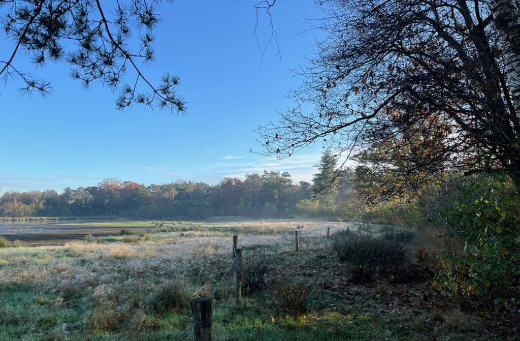 We zien een vlak landschap omgeven door bomen in het Ulvenhoutse bos