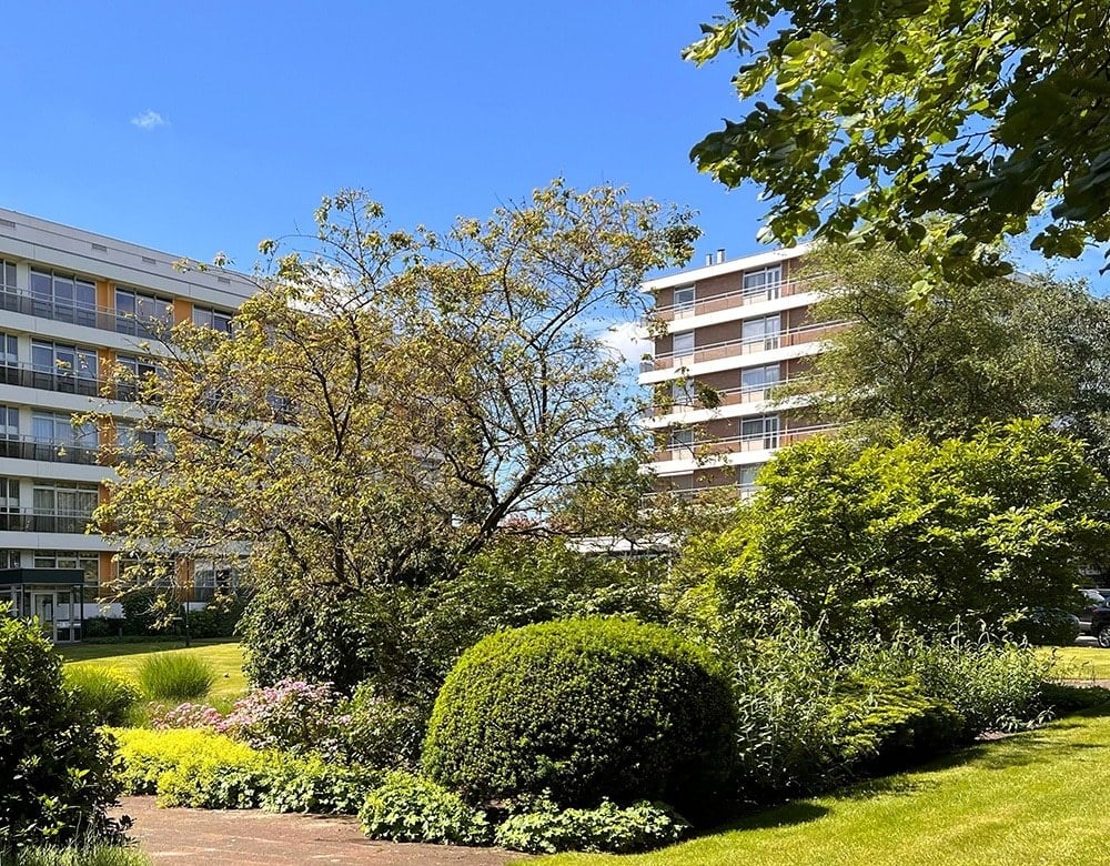De appartementencomplexen van Belvedère zijn te zien in de achtergrond van een prachtige stukje natuur
