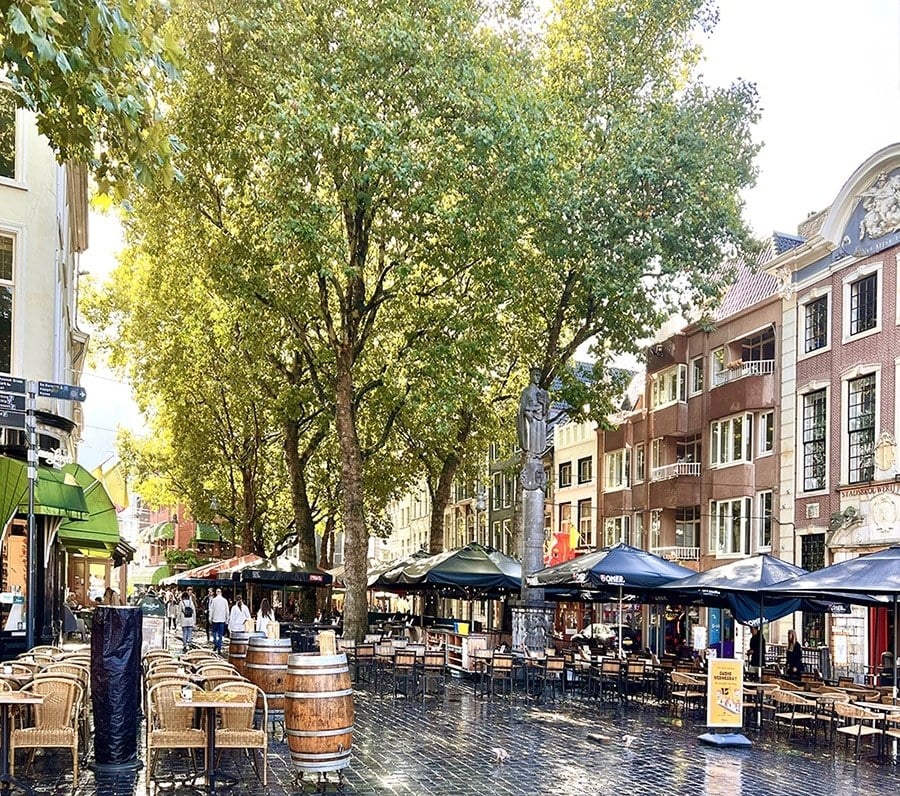We zien hier een gezellige straat met bomen en leuke terrasjes in de omgeving van Belvedère